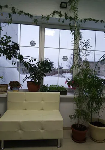 в Калуге Калуга - изображение 12