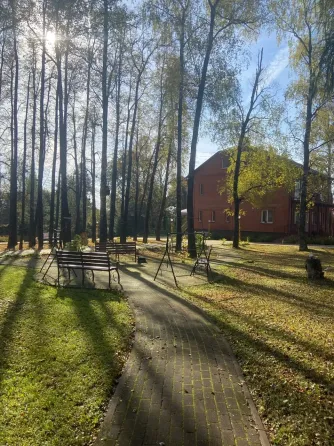 в Шишкине Лесе Шишкин Лес