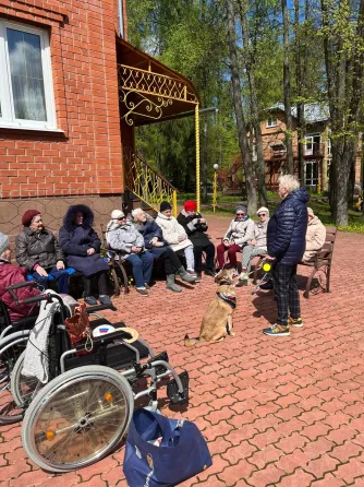 в Шишкине Лесе Шишкин Лес