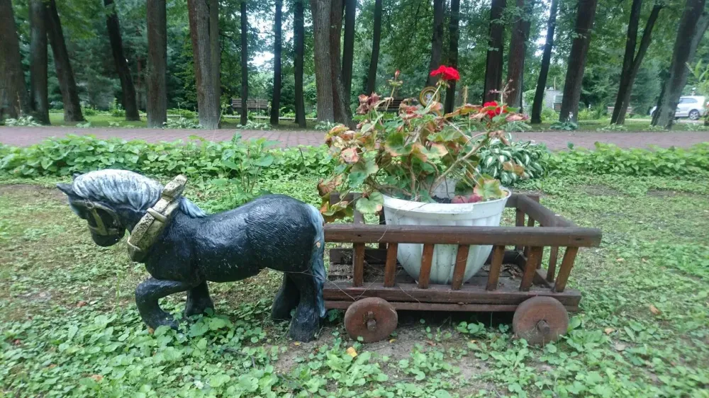 в Шишкине Лесе Шишкин Лес - изображение 11