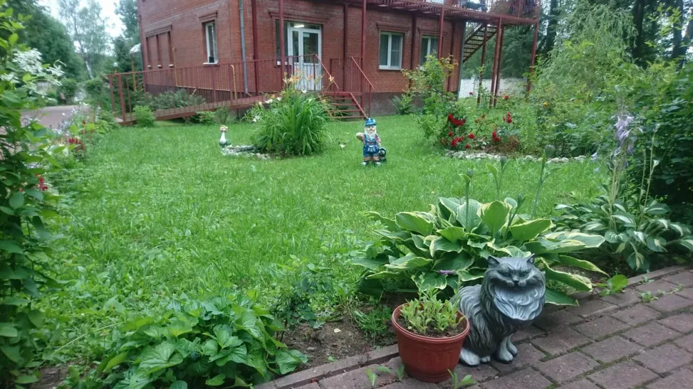 в Шишкине Лесе Шишкин Лес - изображение 10