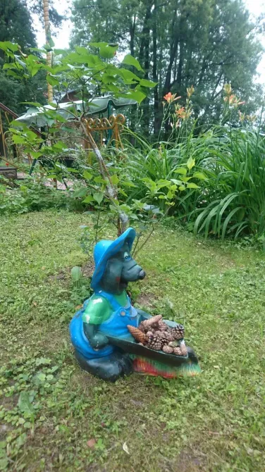 в Шишкине Лесе Шишкин Лес - изображение 7