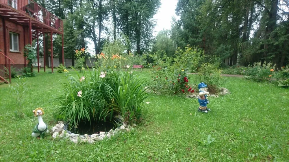 в Шишкине Лесе Шишкин Лес - изображение 8