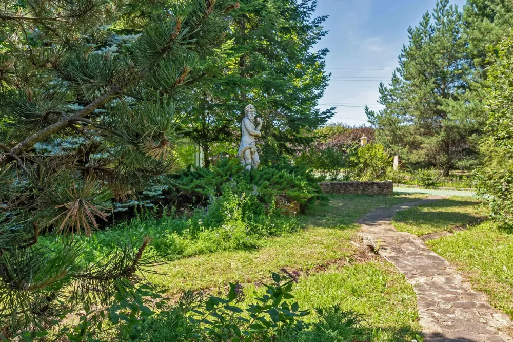 в Воскресенском Воскресенское - изображение 19