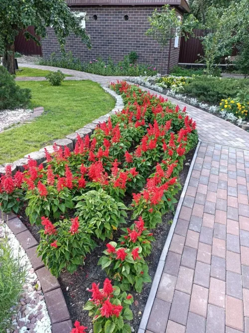 в Апрелевке Апрелевка - изображение 12