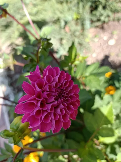 в Апрелевке Апрелевка - изображение 15