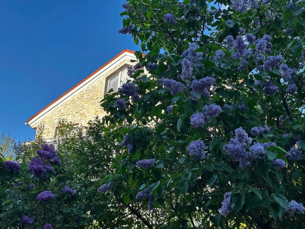 в Городище Городище - изображение 9