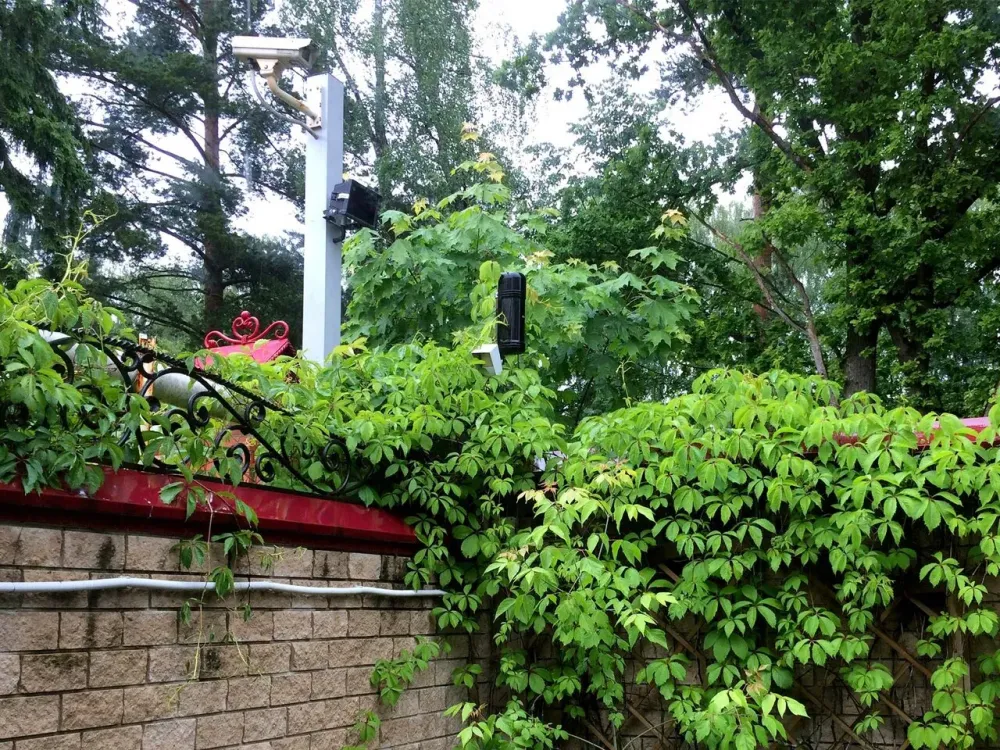 в Городище Городище - изображение 6