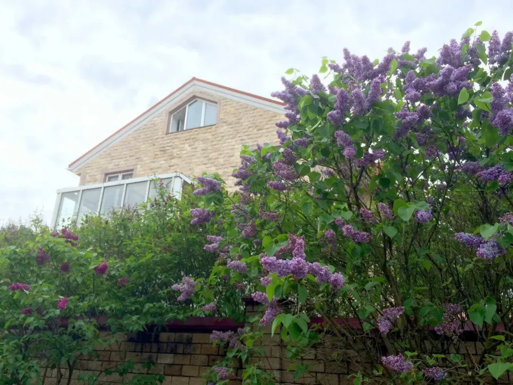 в Городище Городище - изображение 2