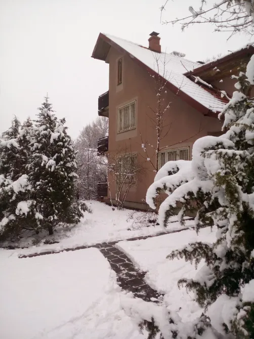 в Лесном Городке Лесной Городок - изображение 4