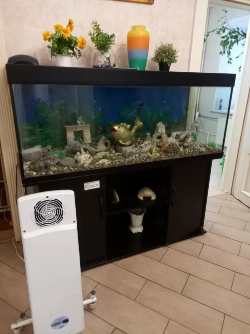 в Пущино Пущино - изображение 14