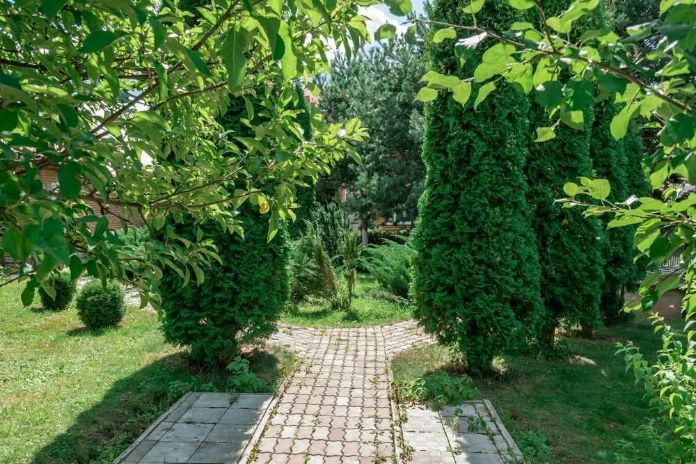 в Климовске Климовск - изображение 12