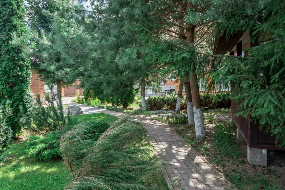 в Климовске Климовск - изображение 11