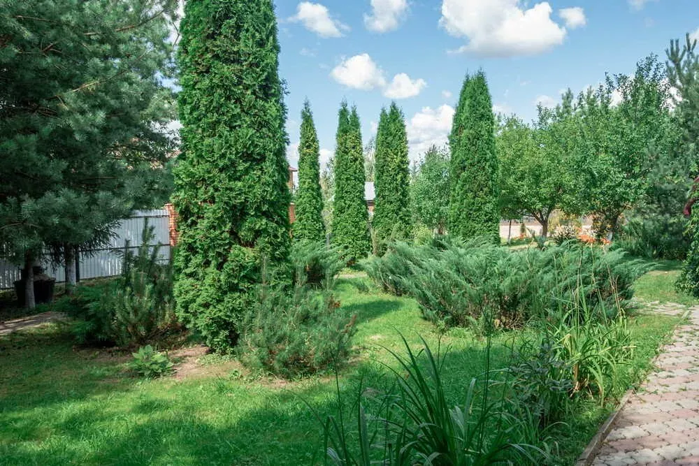 в Климовске Климовск - изображение 13