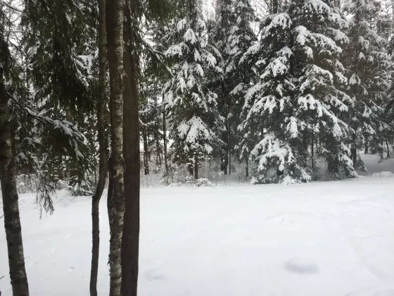 в Дорохово Дорохово