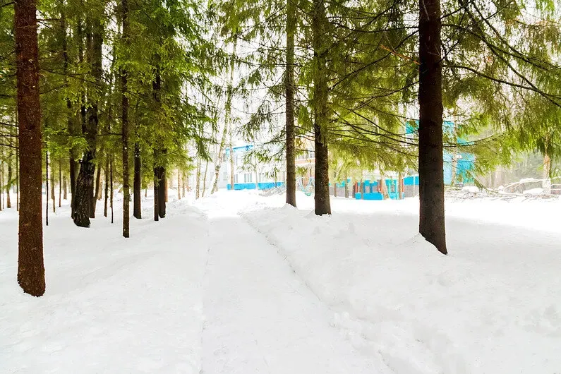 в Дорохово Дорохово - изображение 16