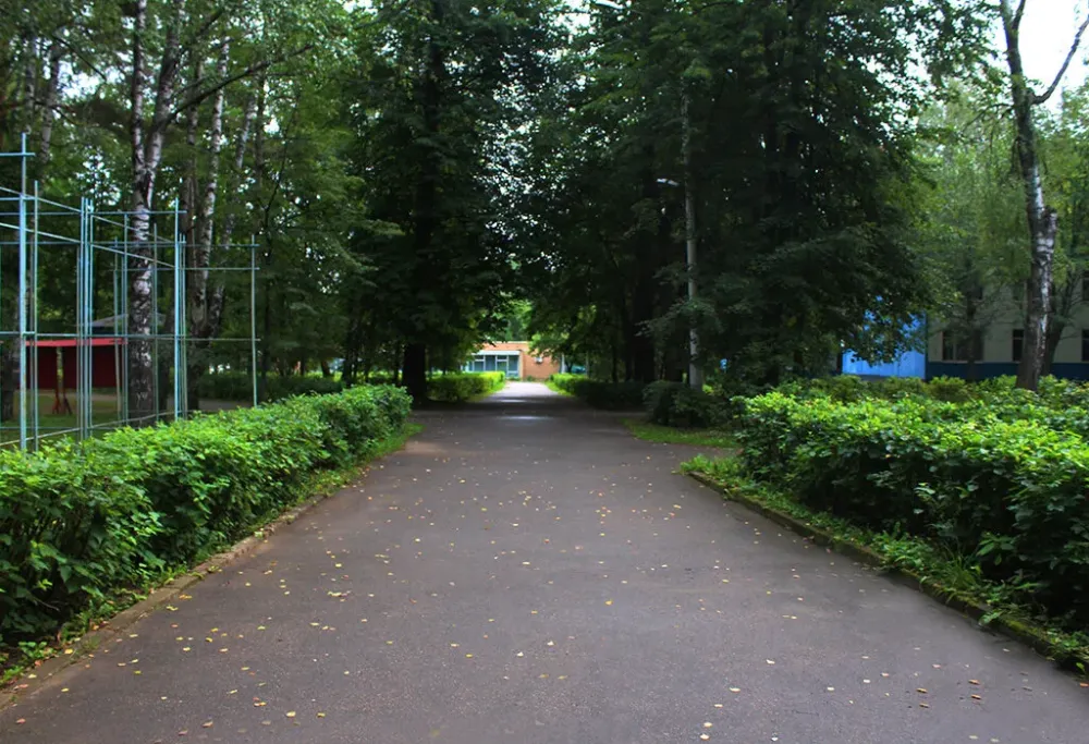 в Дорохово Дорохово - изображение 13