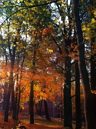 в Александровке Александровка