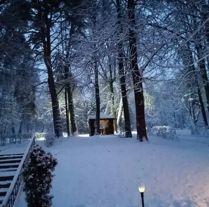 в Александровке Александровка - изображение 5