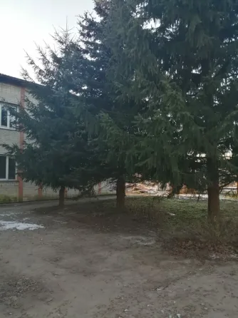 в Смоленске Смоленск