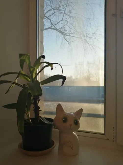 в Смоленске Смоленск - изображение 1