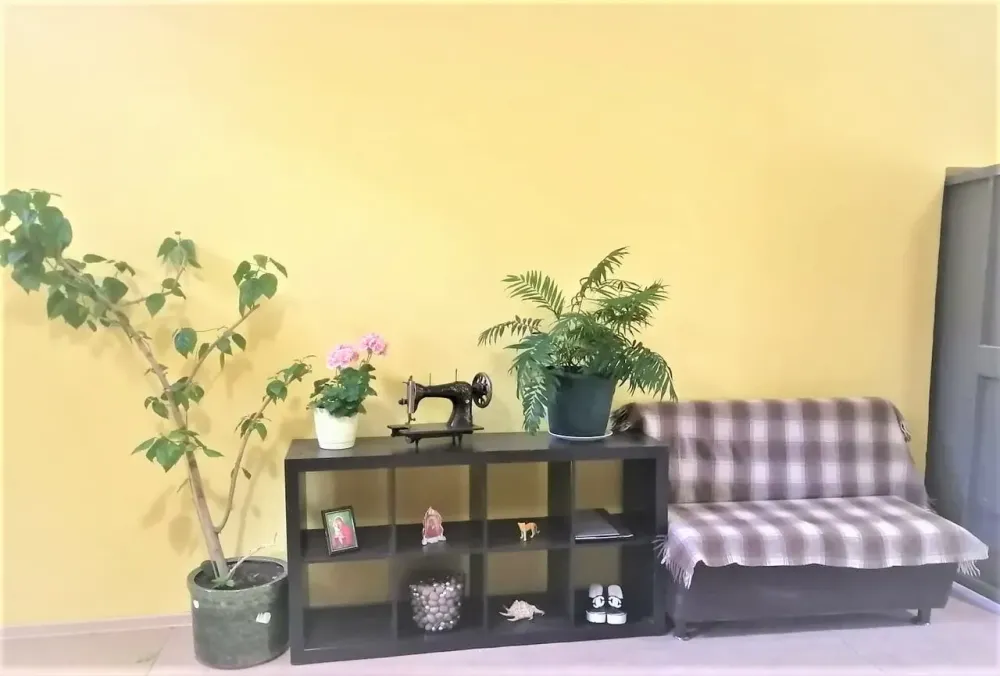 в Смоленске Смоленск - изображение 14