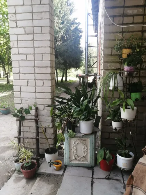 в Смоленске Смоленск - изображение 11