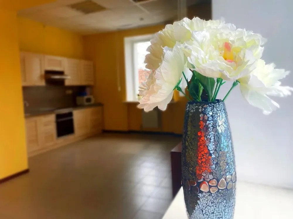 в Курске Курск - изображение 13