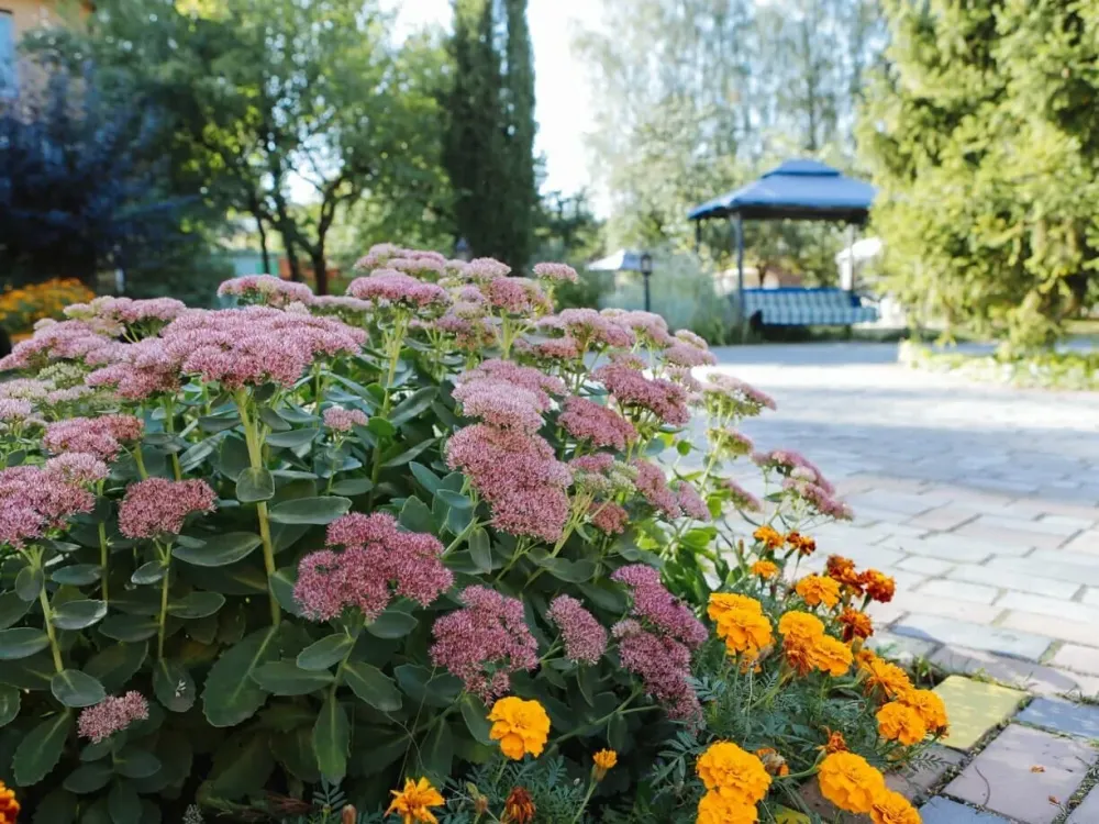 в Загорянском Загорянский - изображение 11