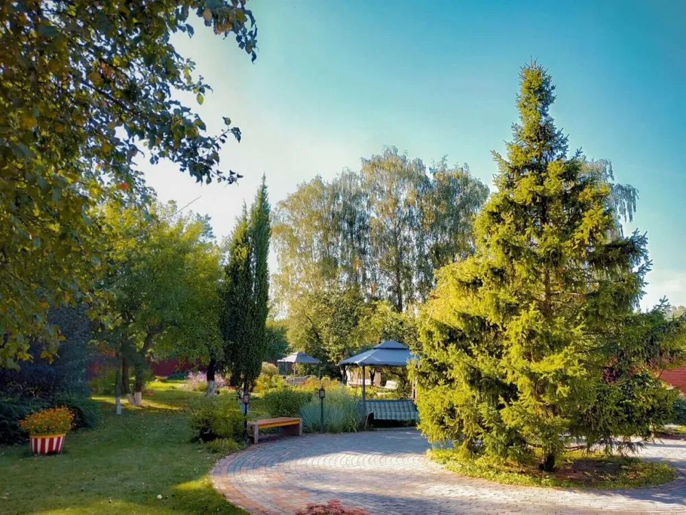 в Загорянском Загорянский - изображение 17