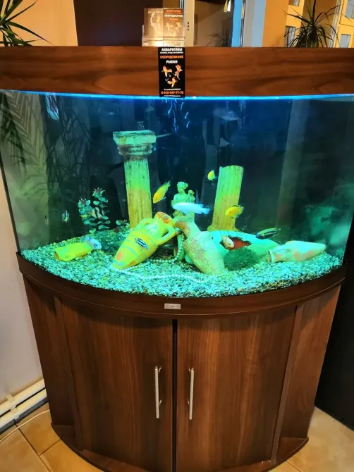 в Монино Монино - изображение 9