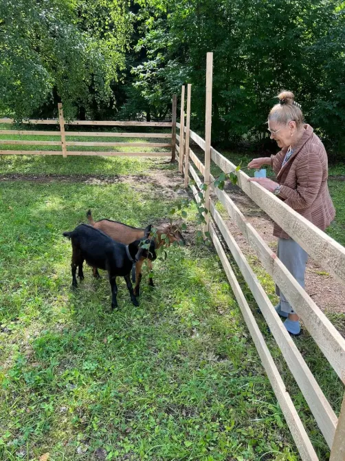 в Ильинском Ильинский - изображение 16