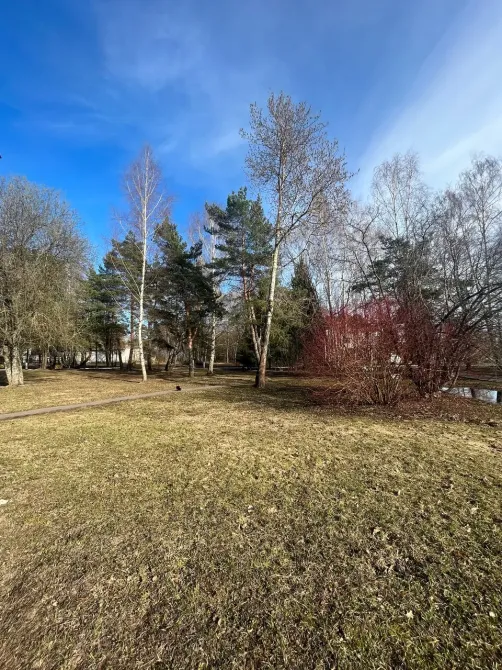 в Ильинском Ильинский - изображение 14