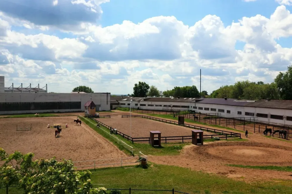 в Раменском Раменское - изображение 7