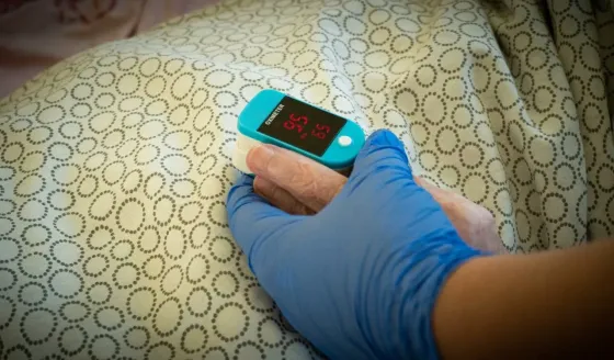 в Домодедово Домодедово