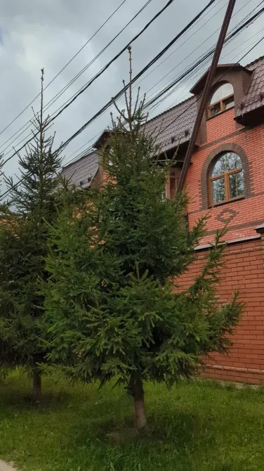 в Видном Видное - изображение 18