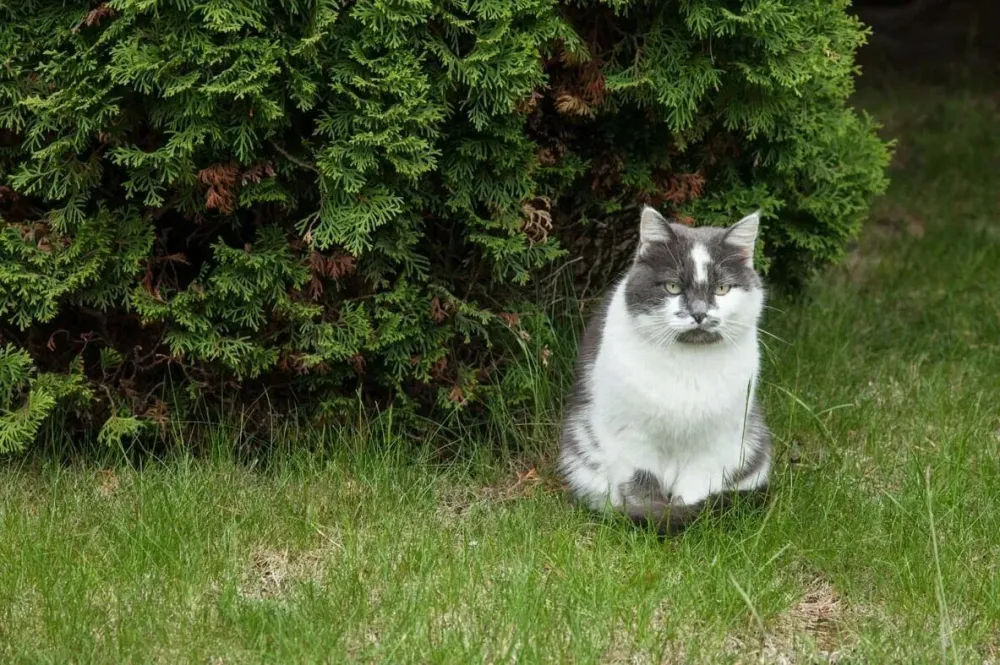 в Троицке Троицк - изображение 11