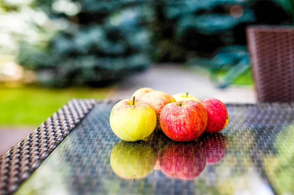 в Краснознаменске Краснознаменск - изображение 9