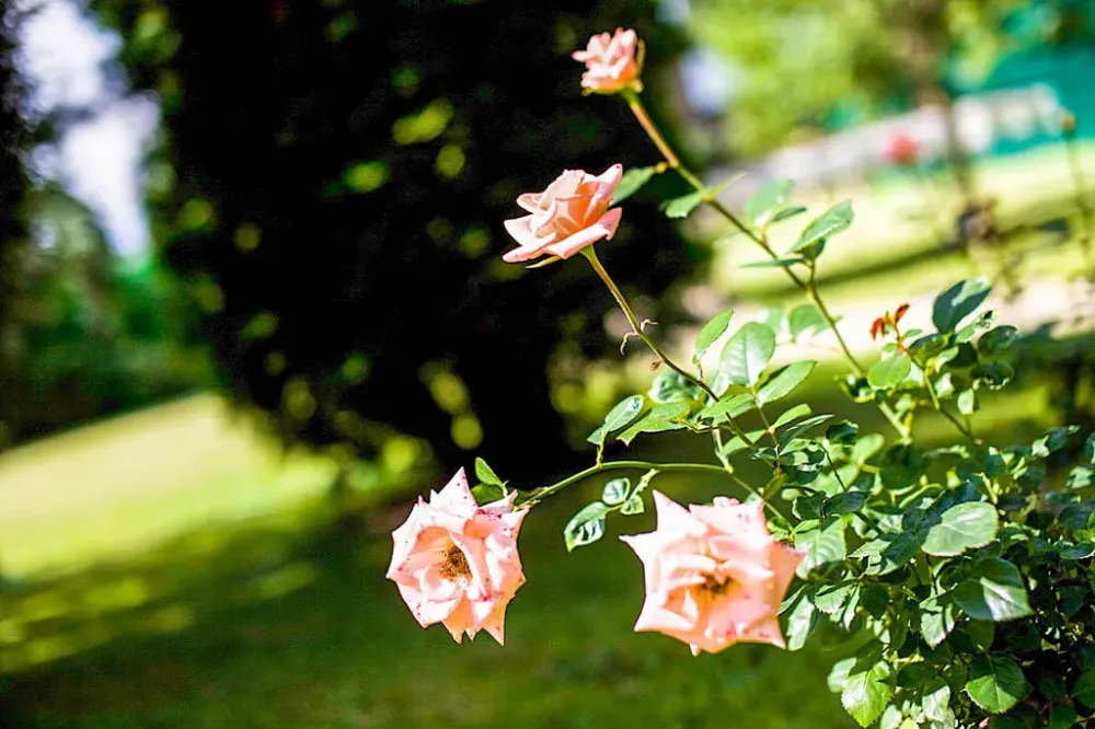 в Краснознаменске Краснознаменск - изображение 10