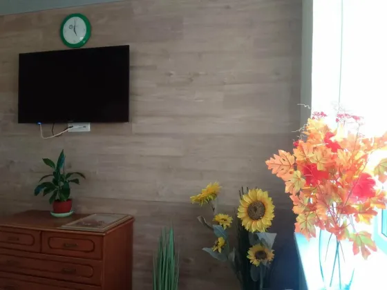 в Химках Химки