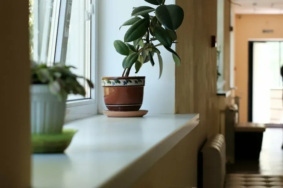 в Химках Химки - изображение 11