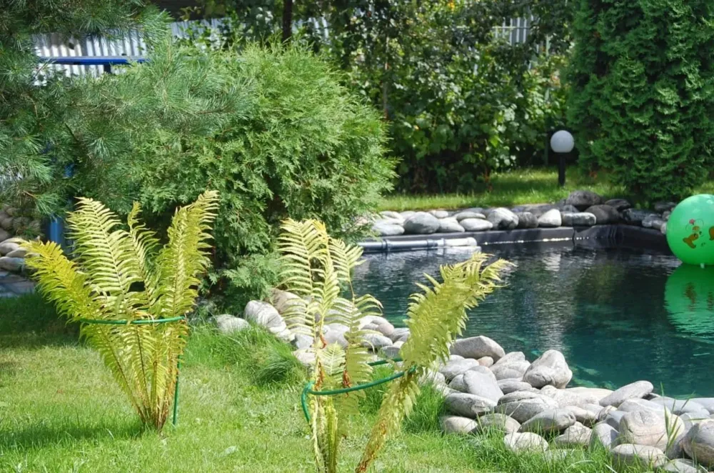 в Воскресенском Воскресенское - изображение 2