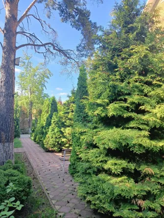 в Дубках Дубки