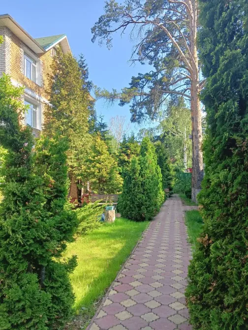 в Дубках Дубки - изображение 20