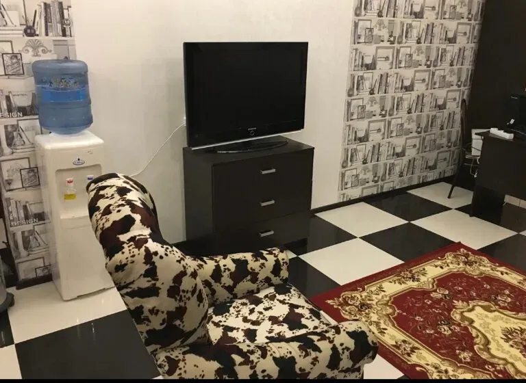 в Апрелевке Апрелевка - изображение 6