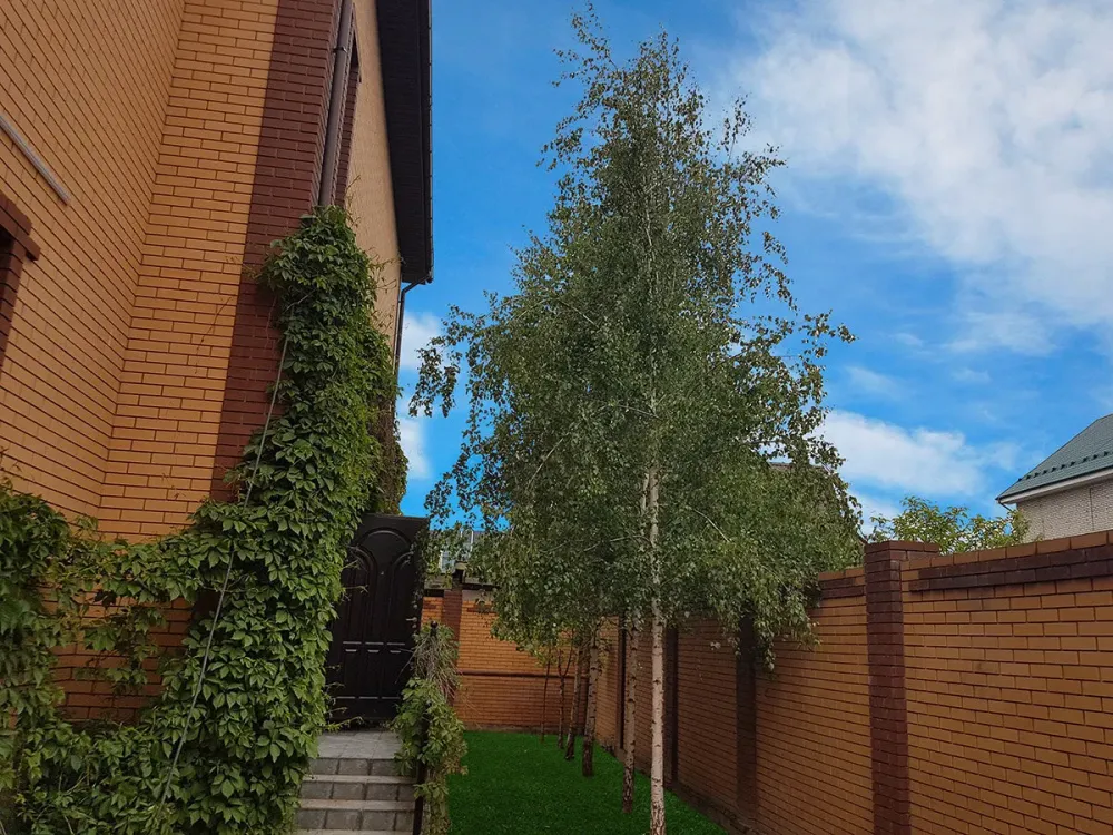 в Коммунарке Коммунарка - изображение 14