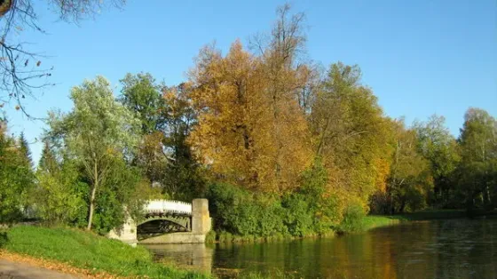 в Орловке Орловка