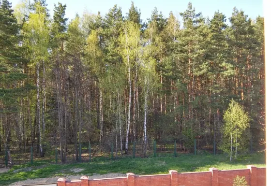 в Орловке Орловка