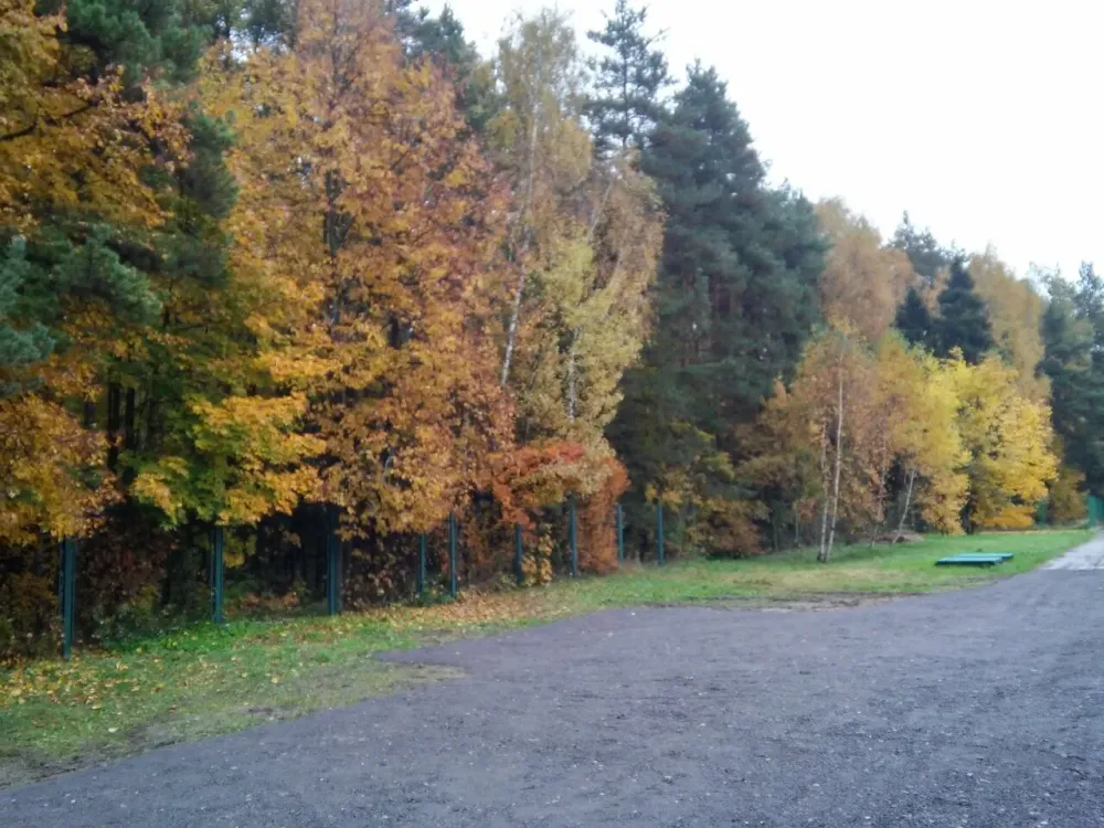 в Орловке Орловка - изображение 10