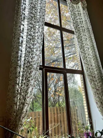 в Лесном Городке Лесной Городок